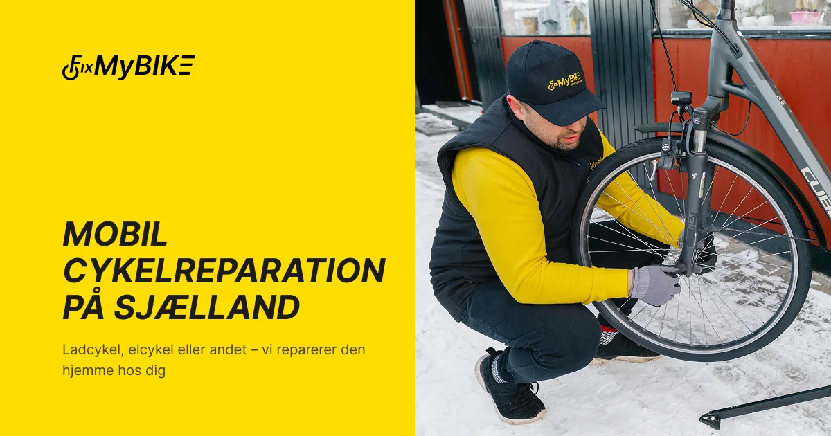 FixMyBike — From Zero to Market Leader in Copenhagen